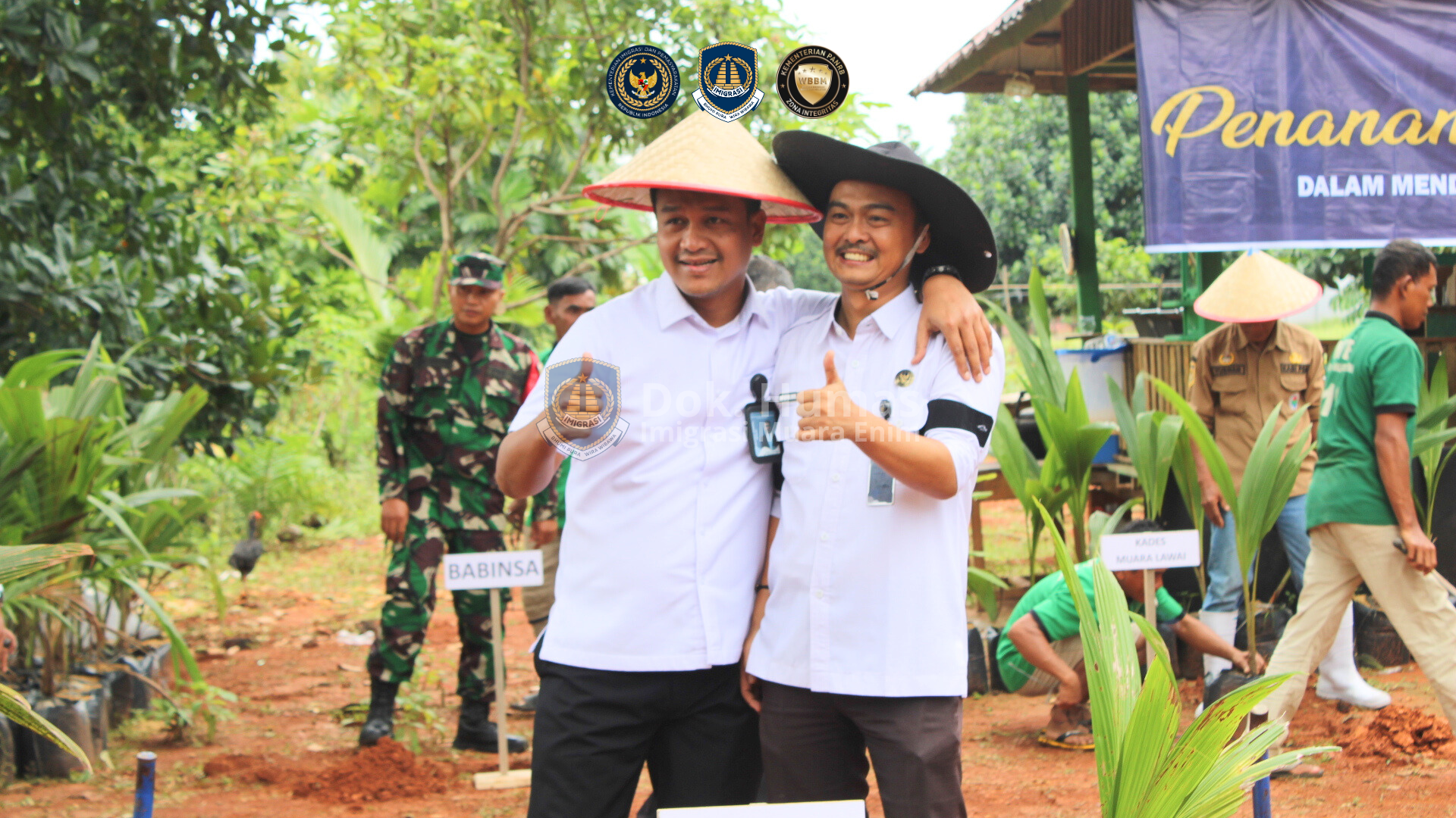 Cover Pohon